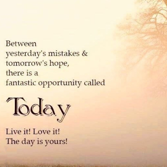 Meet your Posher, Rosie 🦋 - Picture 3 of 9